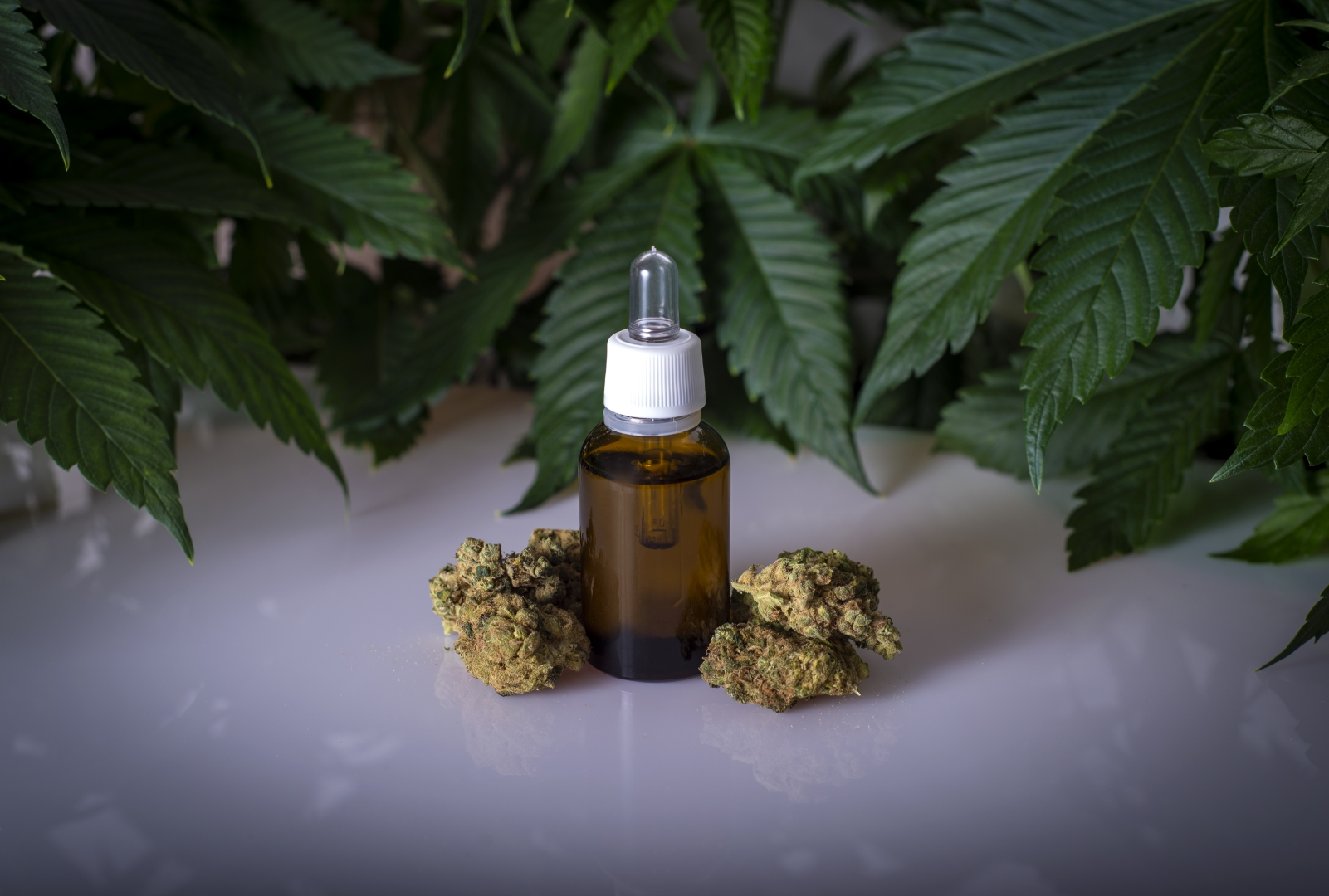 cbd oil
