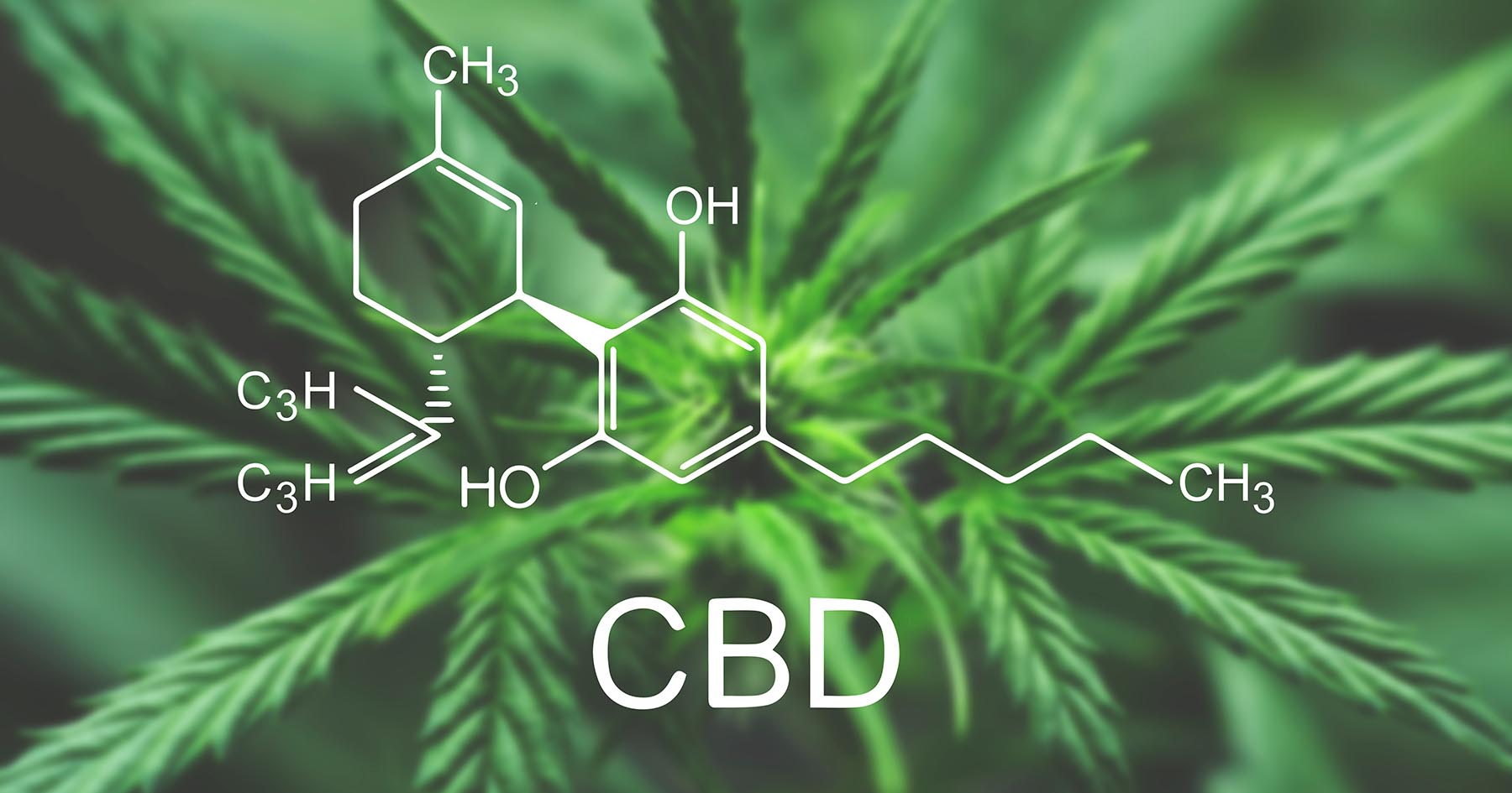 CBD Oil Right Dosage