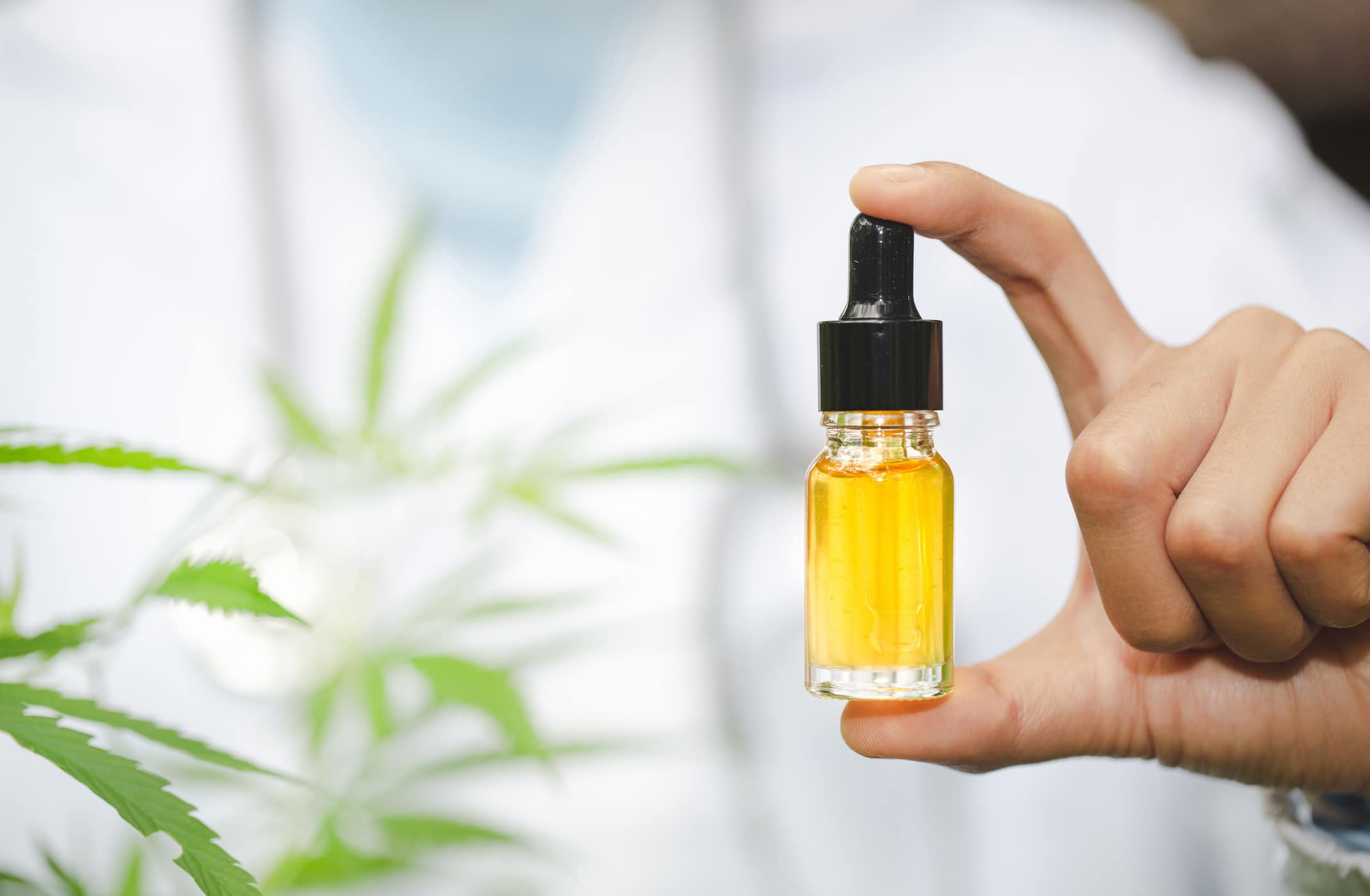 Does CBD Oil Expire How to Store It for Maximum Freshness