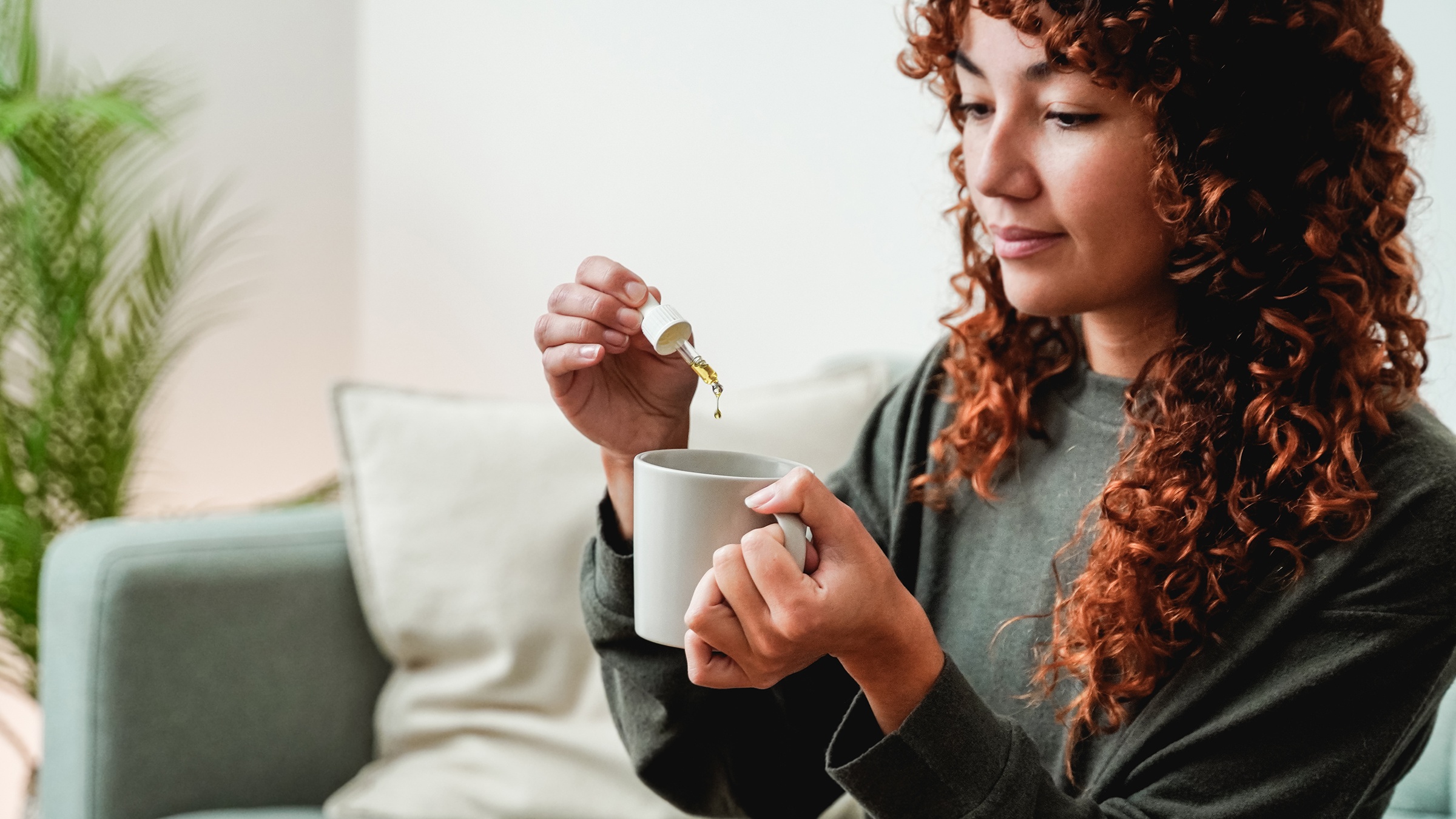 CBD Oil Supports Everyday Wellness